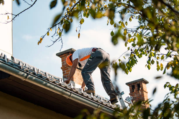 Best Slate Roofing Contractor  in Hoback, WY