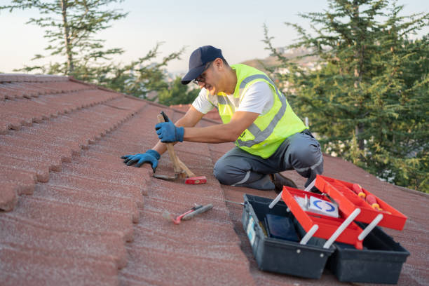 Best Flat Roof Repair Services  in Hoback, WY